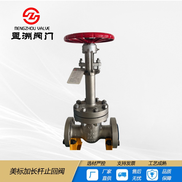 Extended stem gate valve